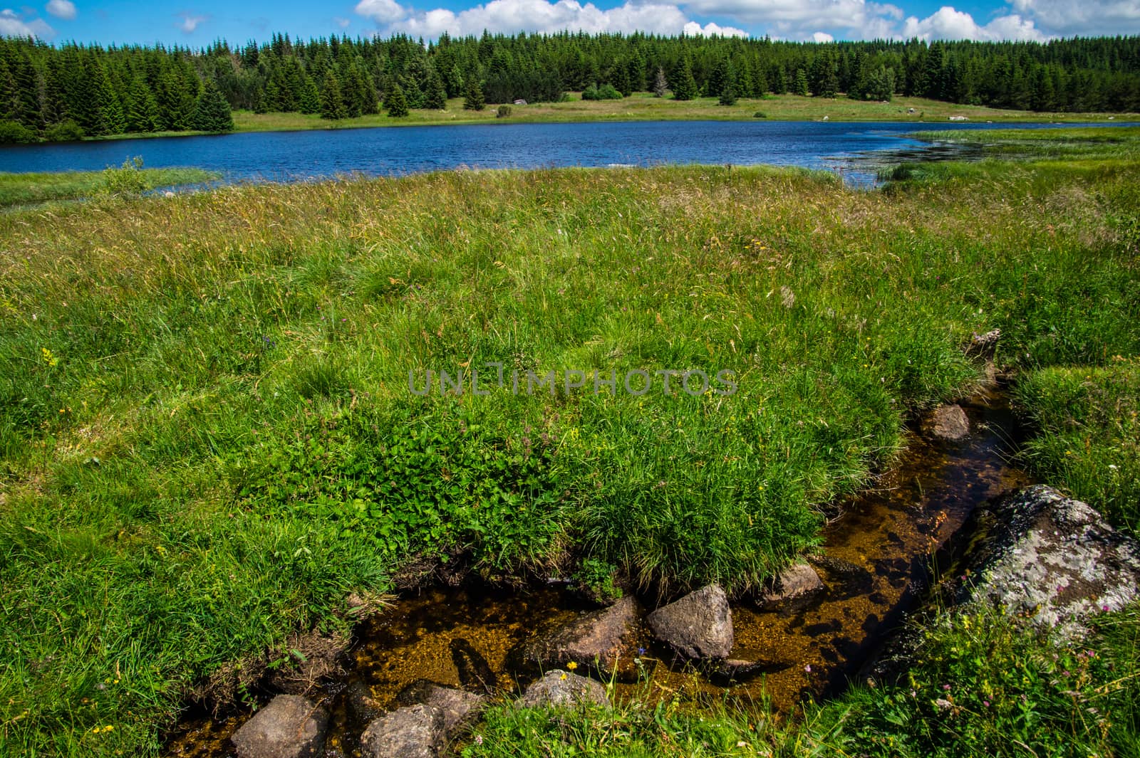 lake of charpal in margueride in lozere