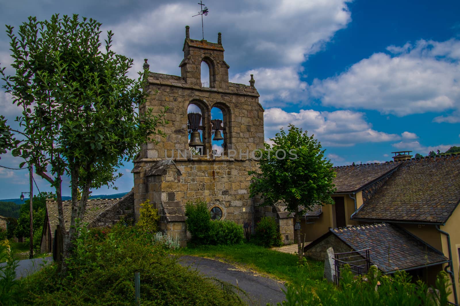 massif of the daisy in lozere