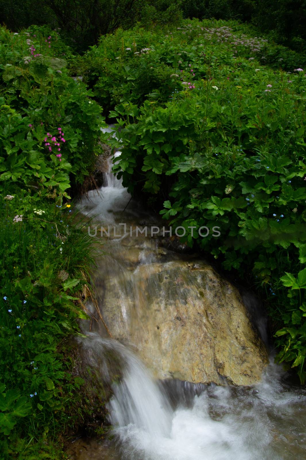 landscape of the Alps in France Haute Savoie