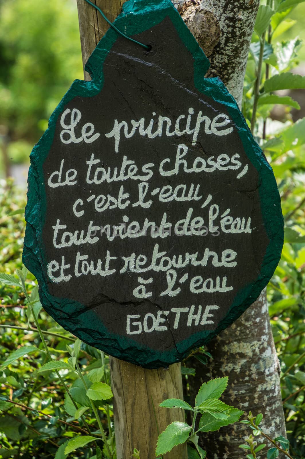 artist's phrase in margueride