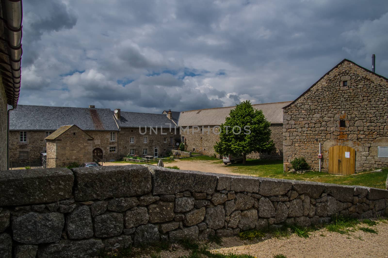 field of the wild in high Loire in Auvergne