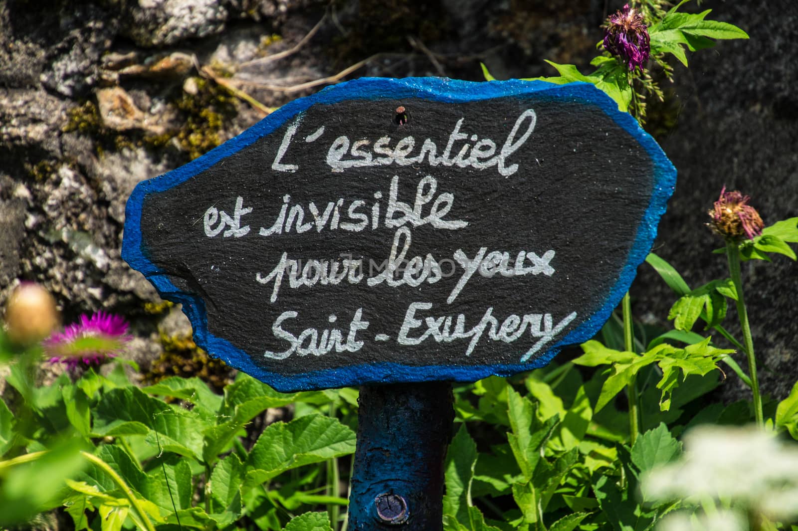 artist's phrase in margueride