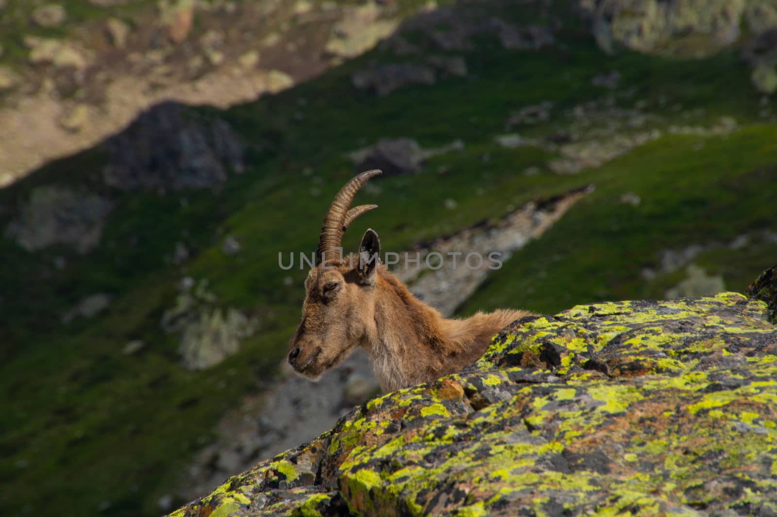 landscape of the Alps in France Haute Savoie