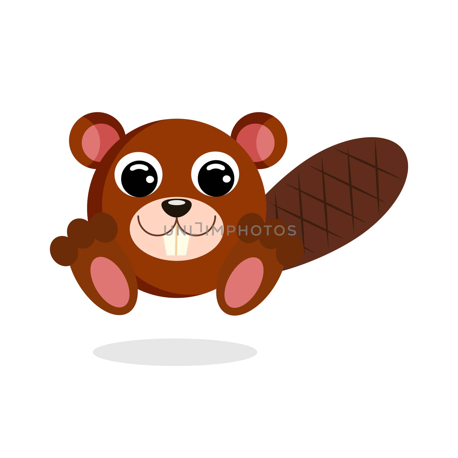 beaver vector illustration. Flat design by Melnyk
