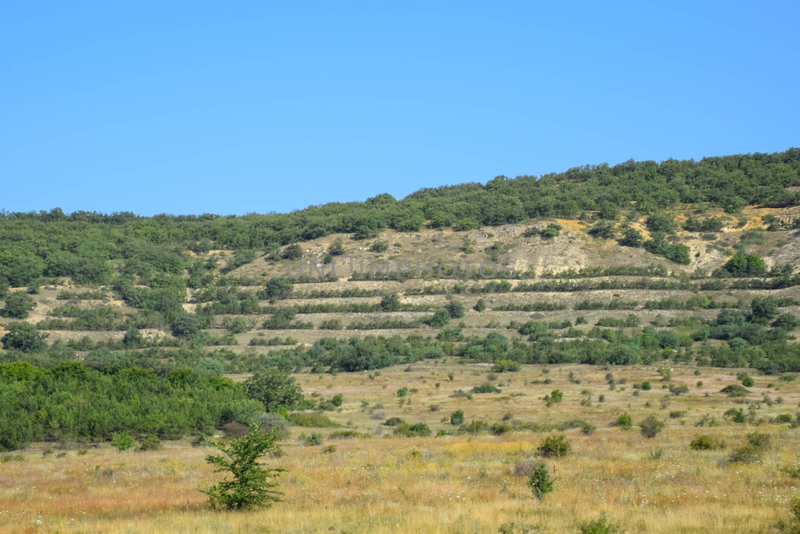 Landscapes of Crimean nature. Fields and hills visible from the car window from the road. by fedoseevaolga