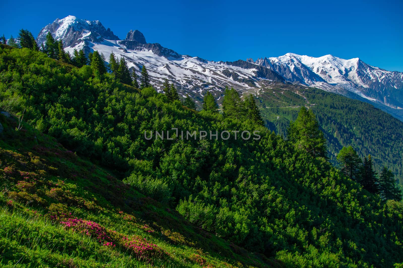 landscape of the Alps in France Haute Savoie
