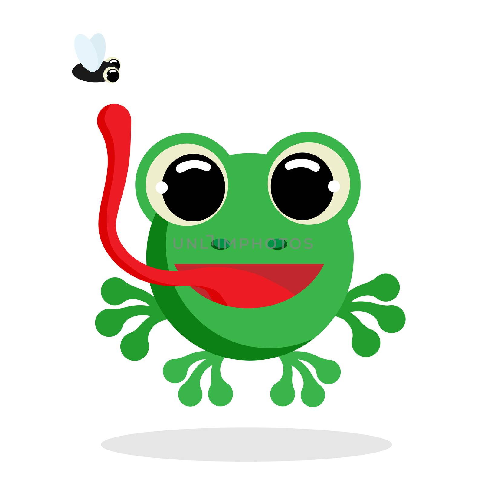 frog flat vector by Melnyk