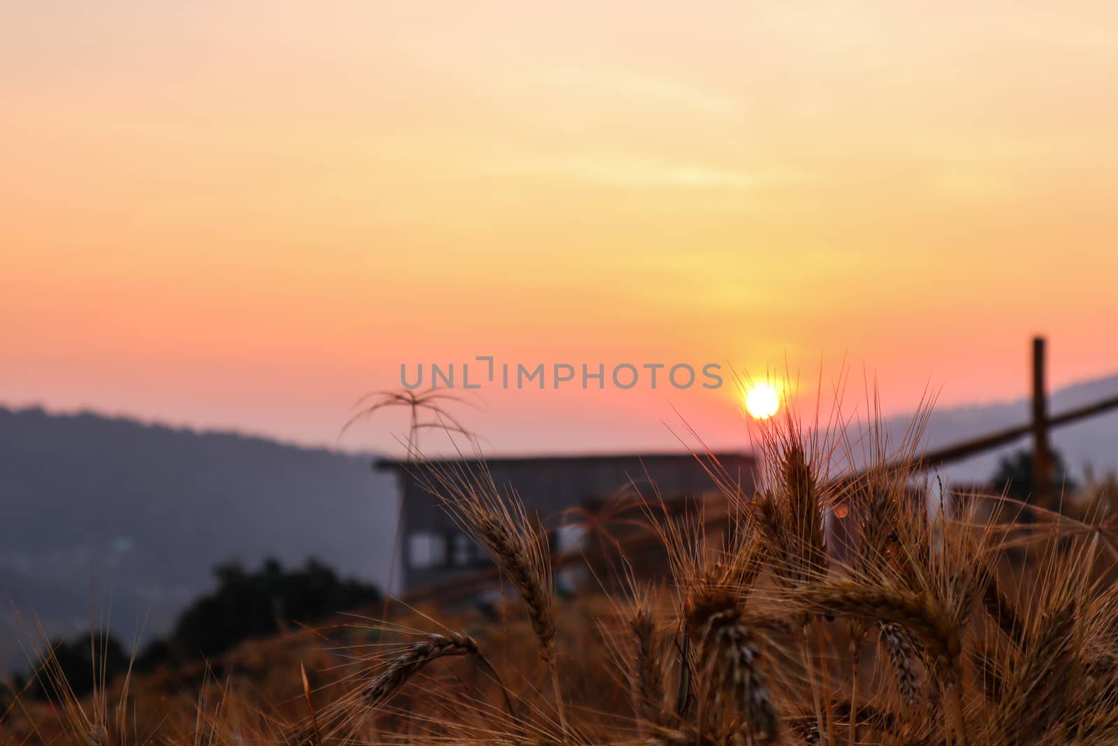 Majestic sunset in the mountains in Chiang Mai, Thailand. The mountain scenery view