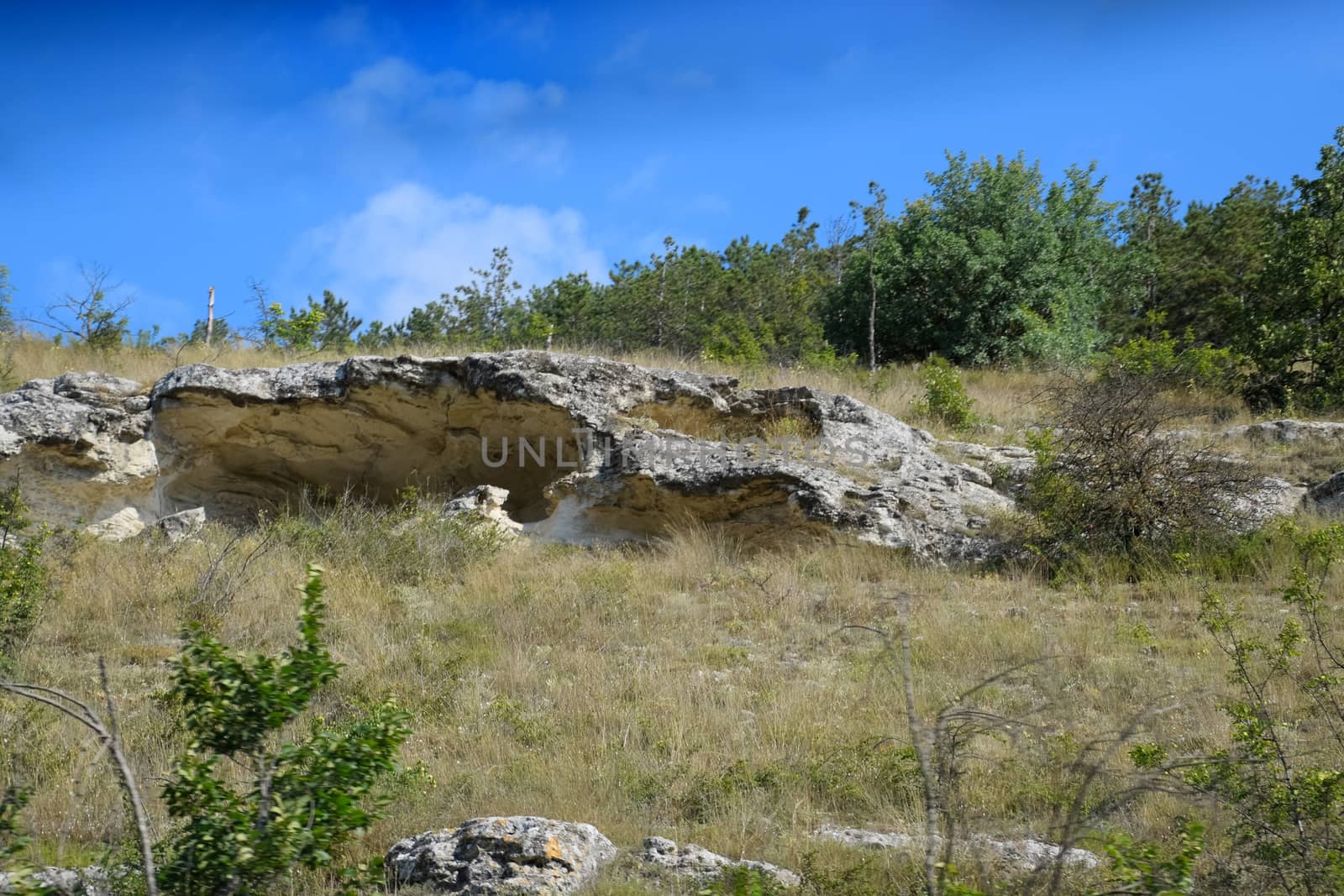 Rocks in limestone forest. Erosion of the rocks. by fedoseevaolga