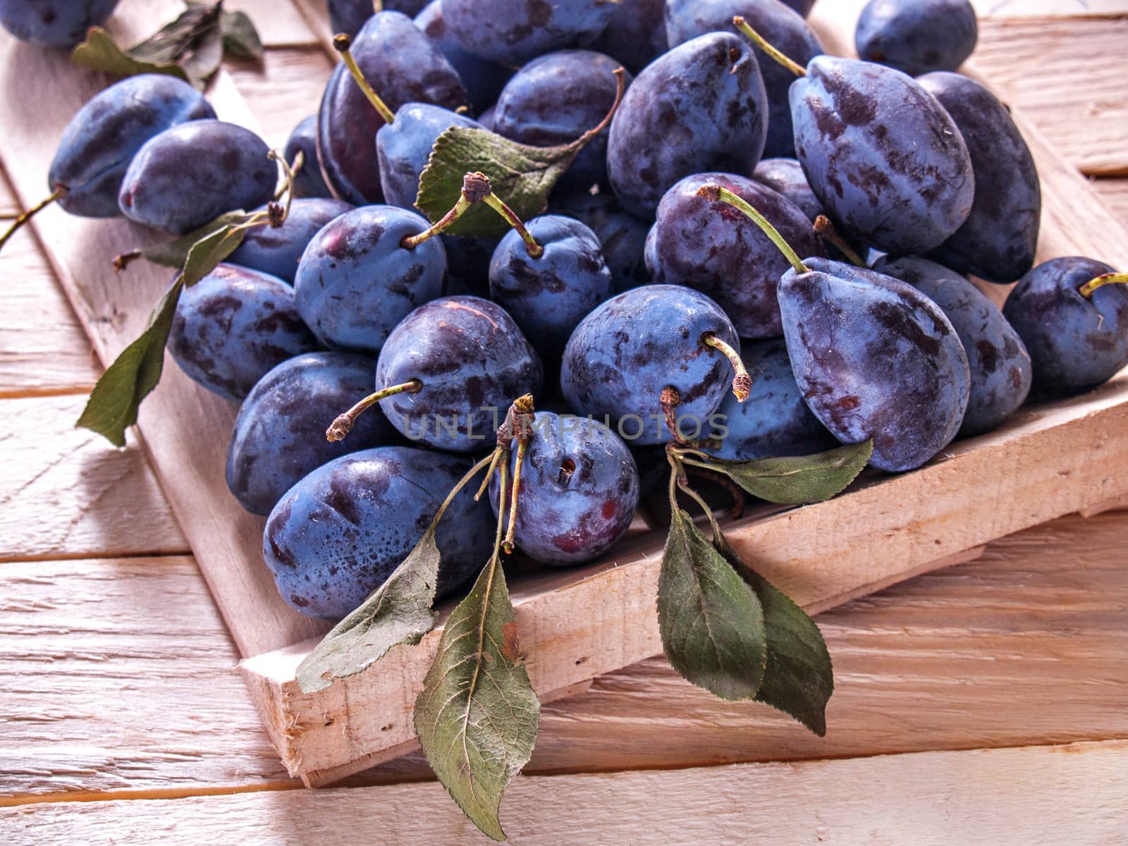 Blue plum in a wooden box on a wooden background fresh juicy big new crop with green leaves diet food fruit useful