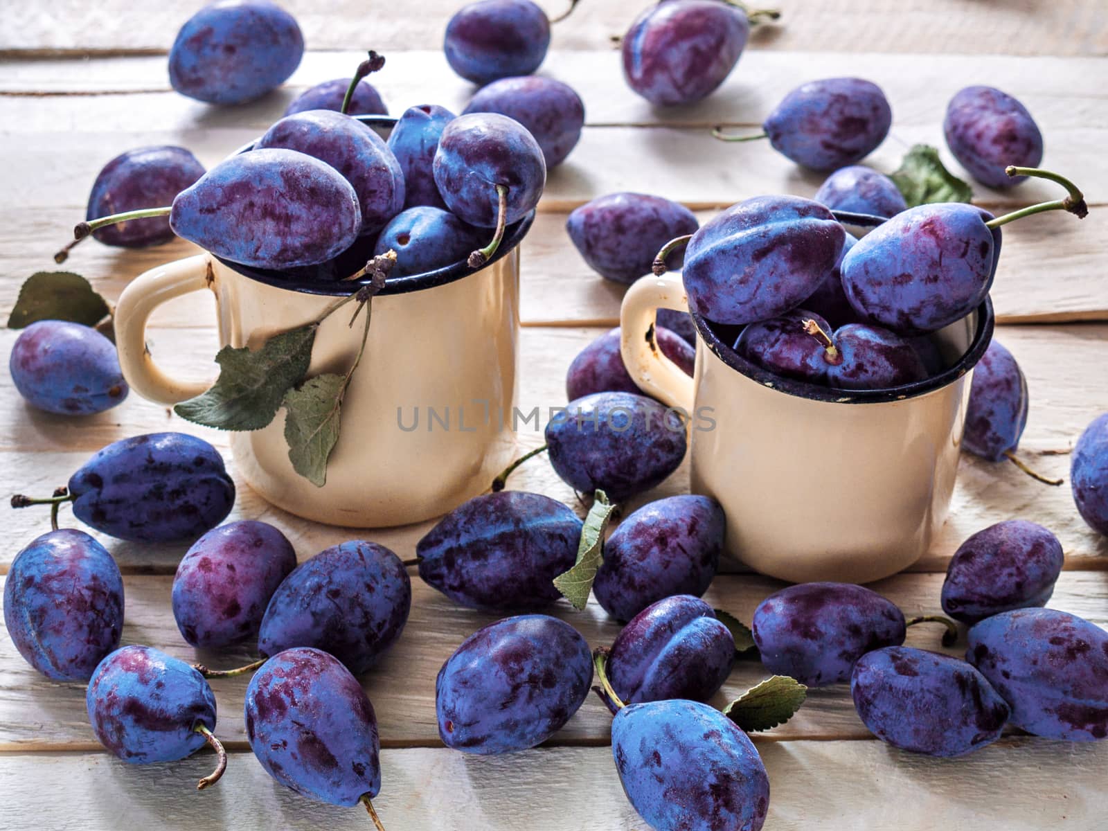 Plums of blue juicy sweet lie in tin-plated metal mugs of yellow color and plums scattered on a wooden background useful fruits for diet food and dessert