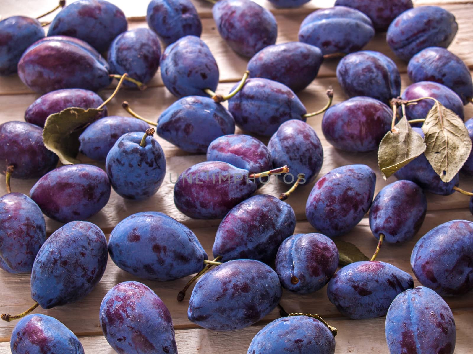 Plums juicy blue sweet new crop fruit healthy diet food dessert lie on a wooden background spilled with green leaves