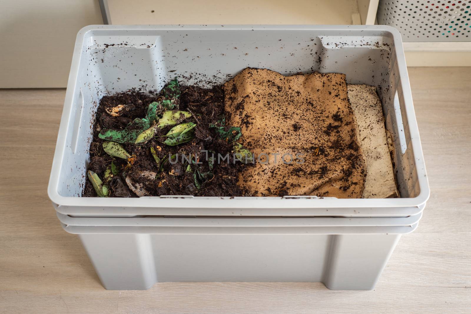 A DIY worm farm composting bin in an apartment by Pendleton