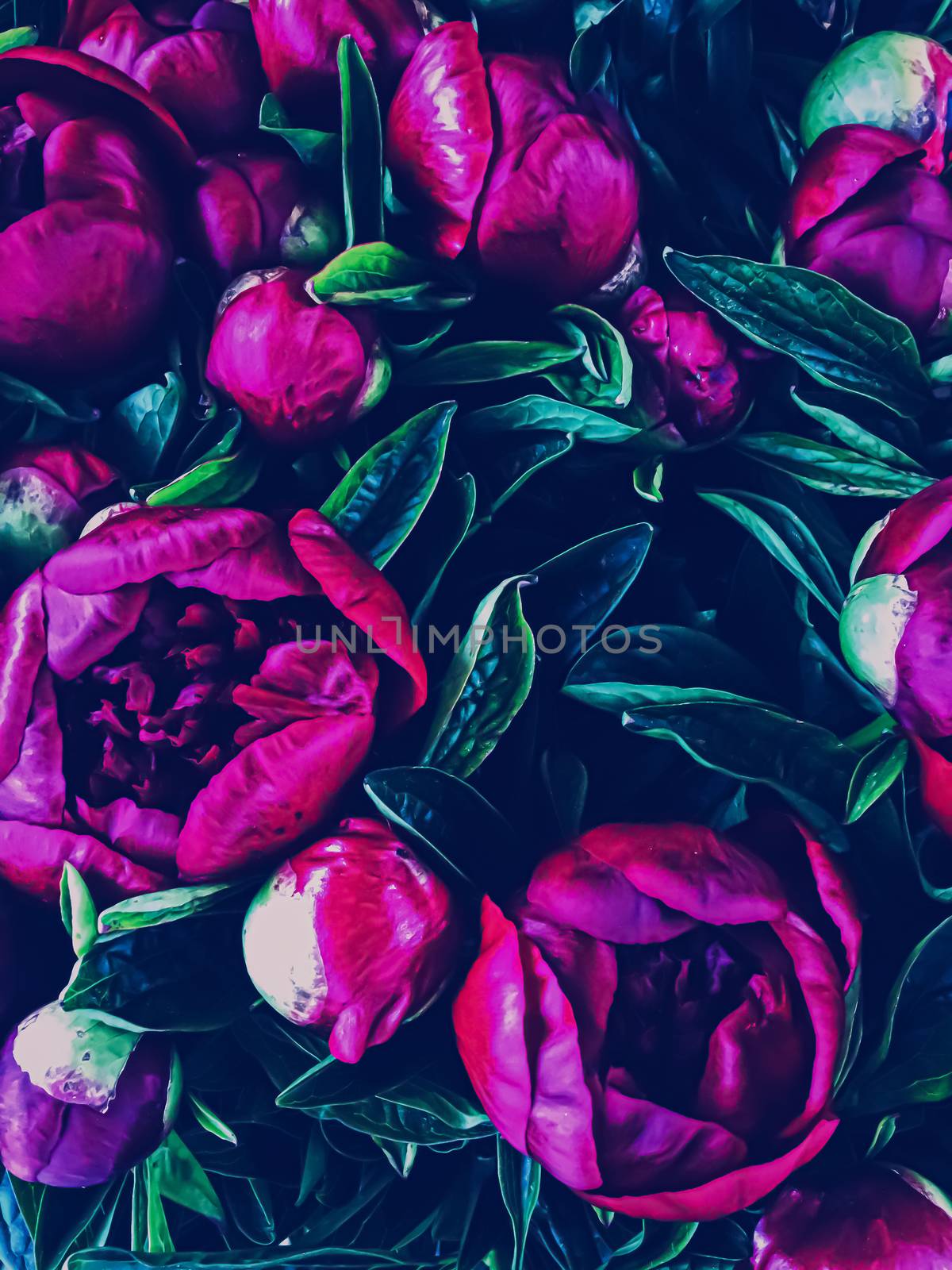 Abstract floral background, bouquet of flowers for holiday branding design