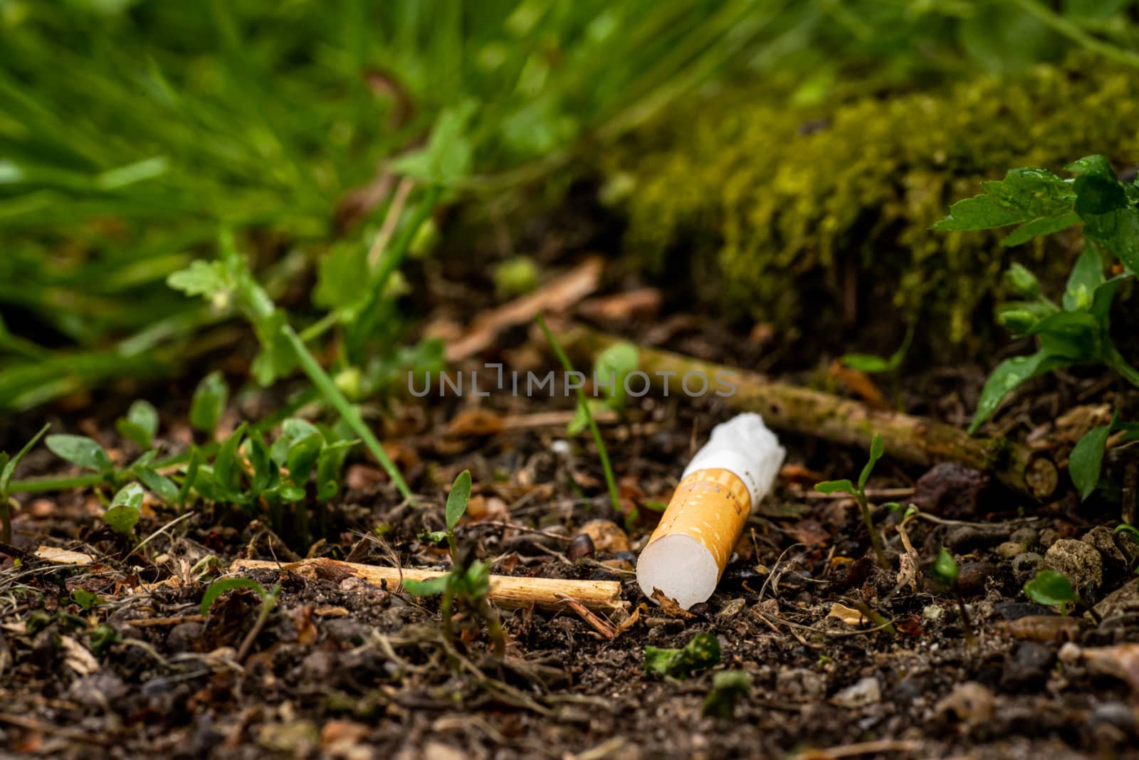 Cigarette butts are often tossed into the environment, and are toxic polluters