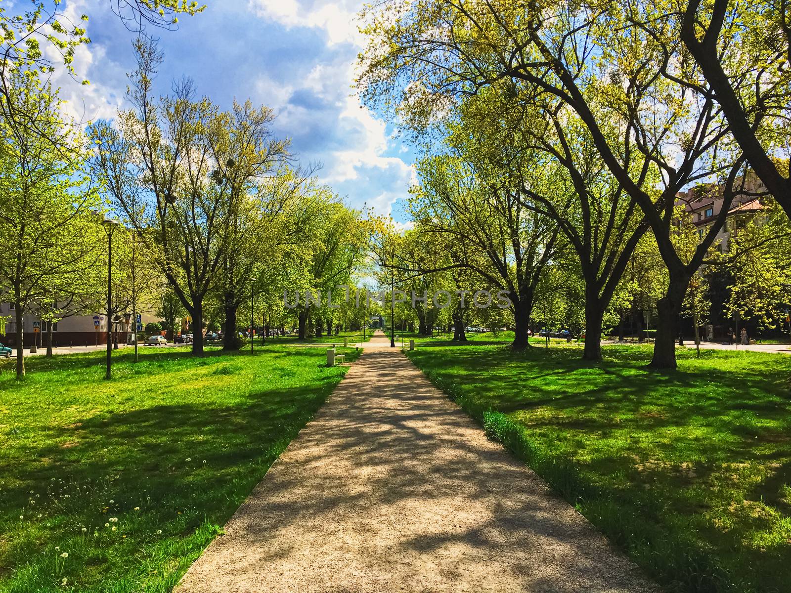 Sunny alley in the city park in spring, nature and outdoor landscape scenery