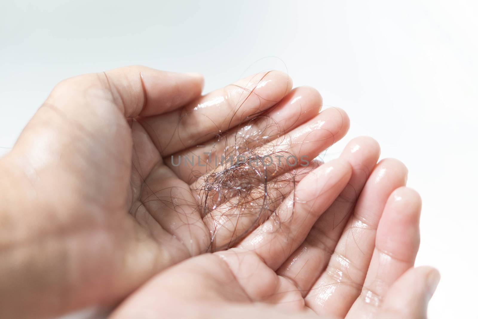 Closeup Hair loss on woman hand in the bathroom