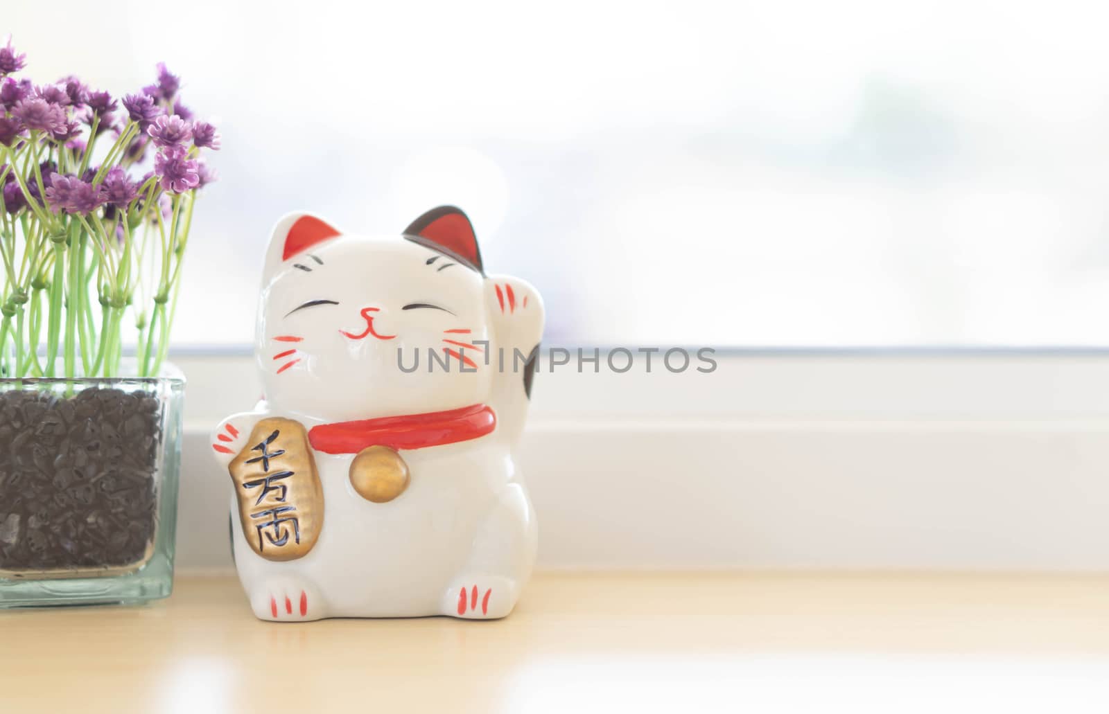 Maneki neko lucky cat show text on hand meaning rich on table, select focus