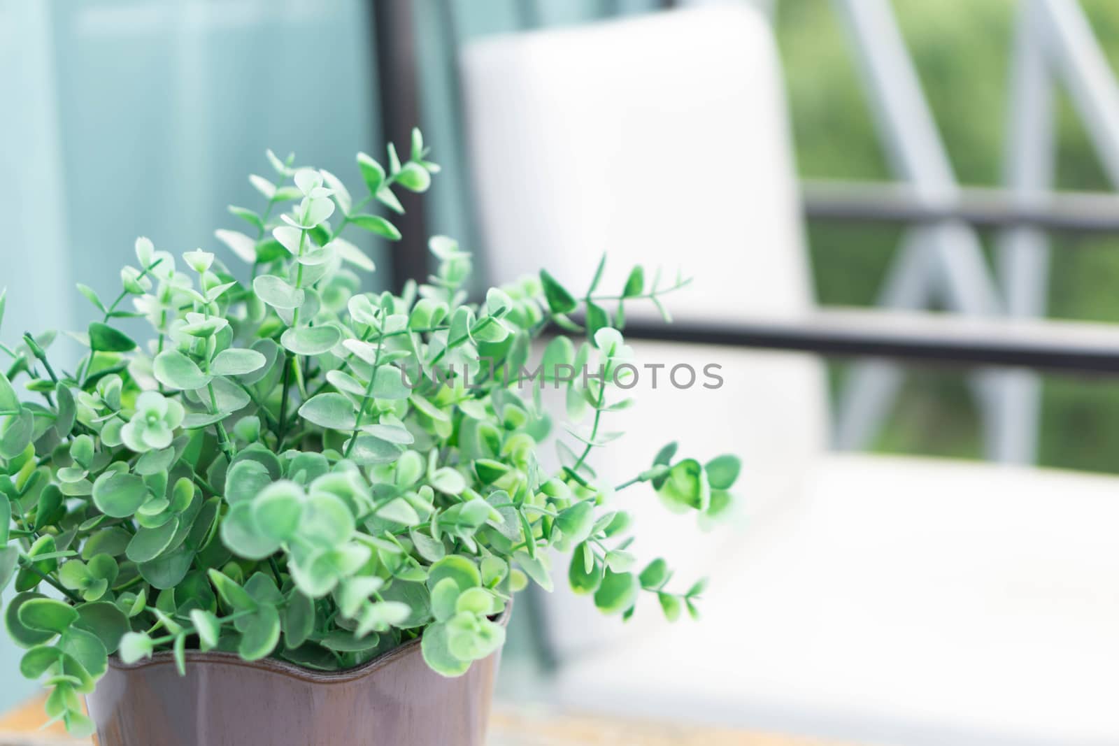 Green small tree in pot on wood table for decoration, selective focus 