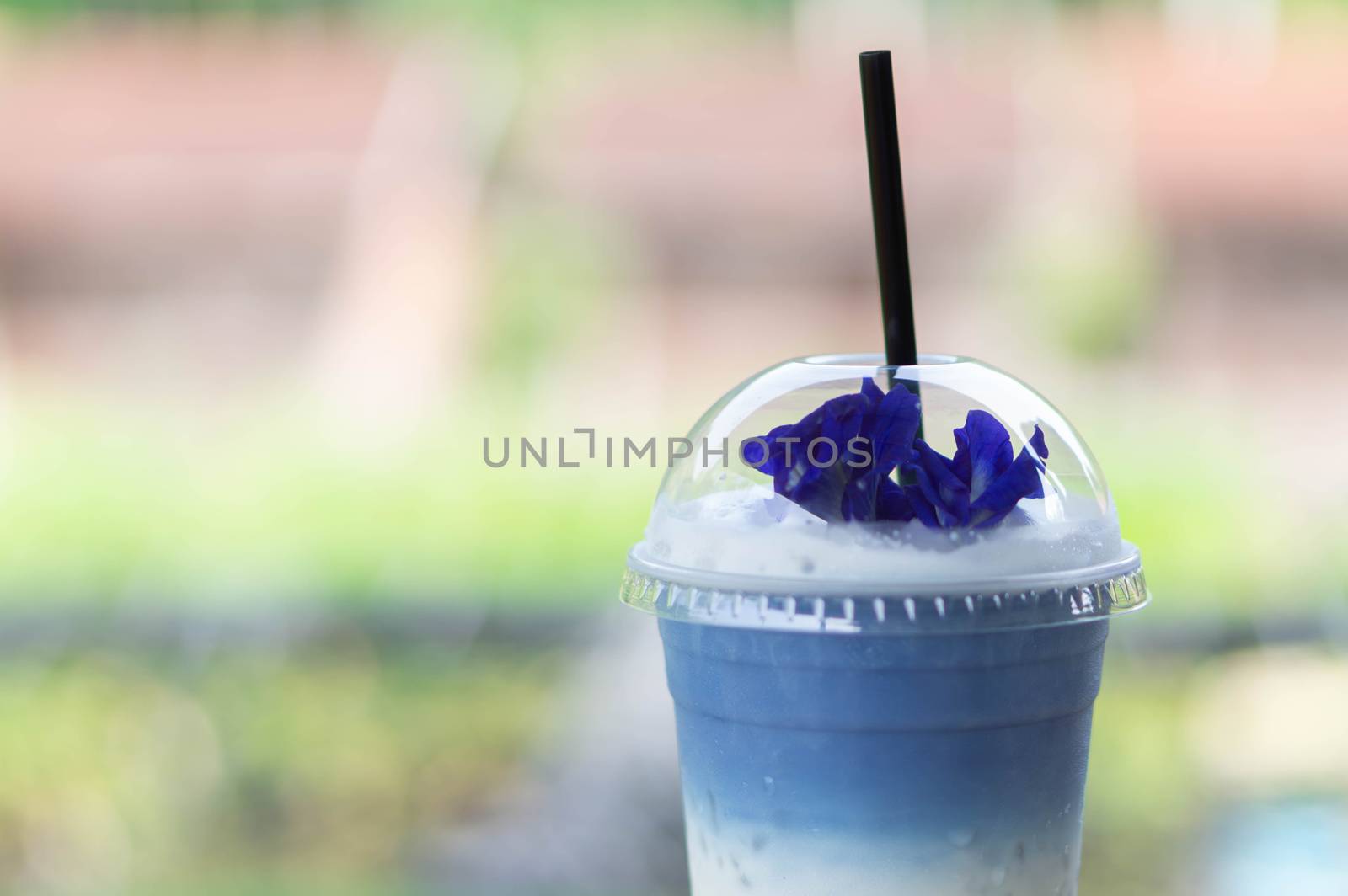 Closeup glass of ice butterfly pea latte with nature background