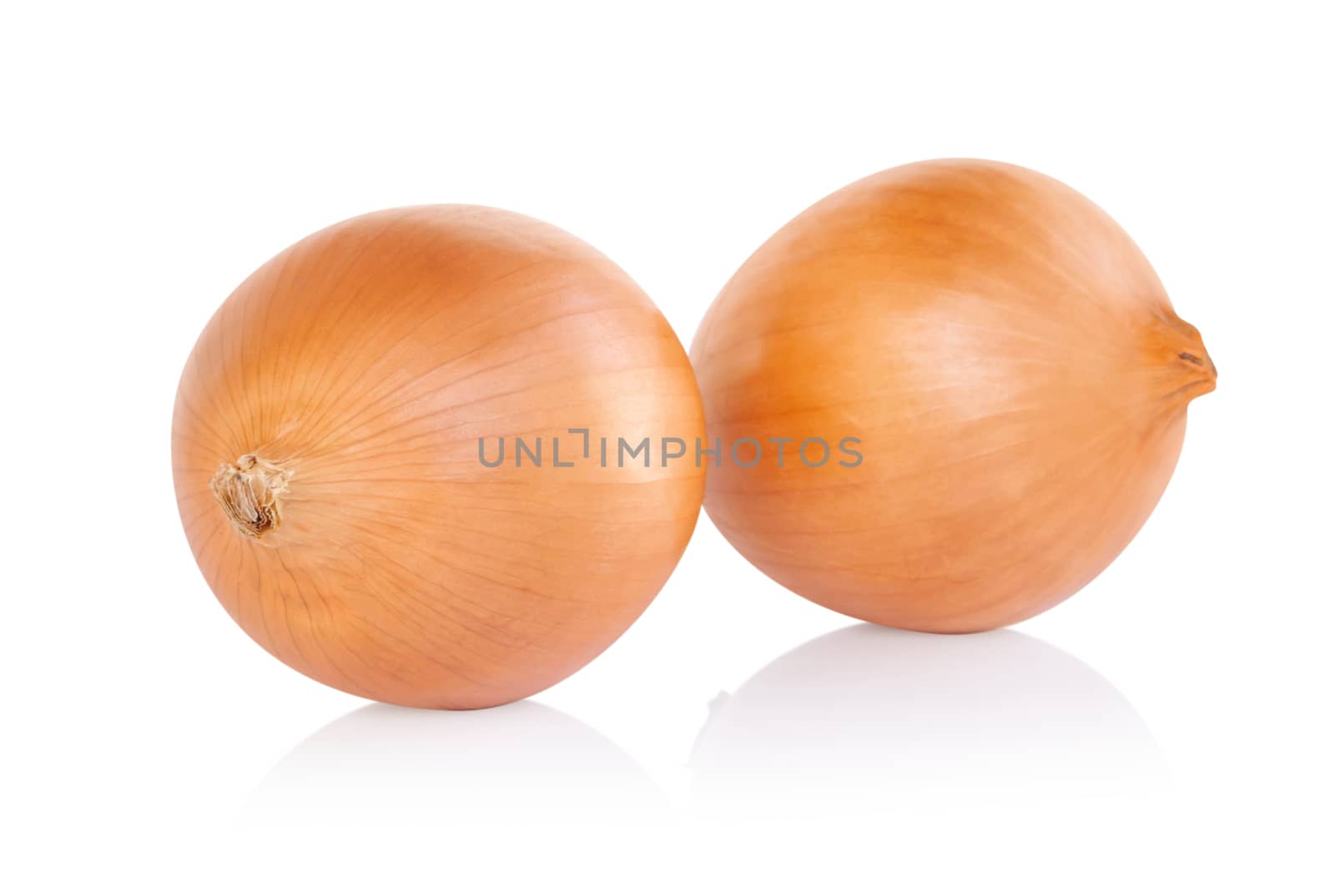 Onion isolated on white background, raw food