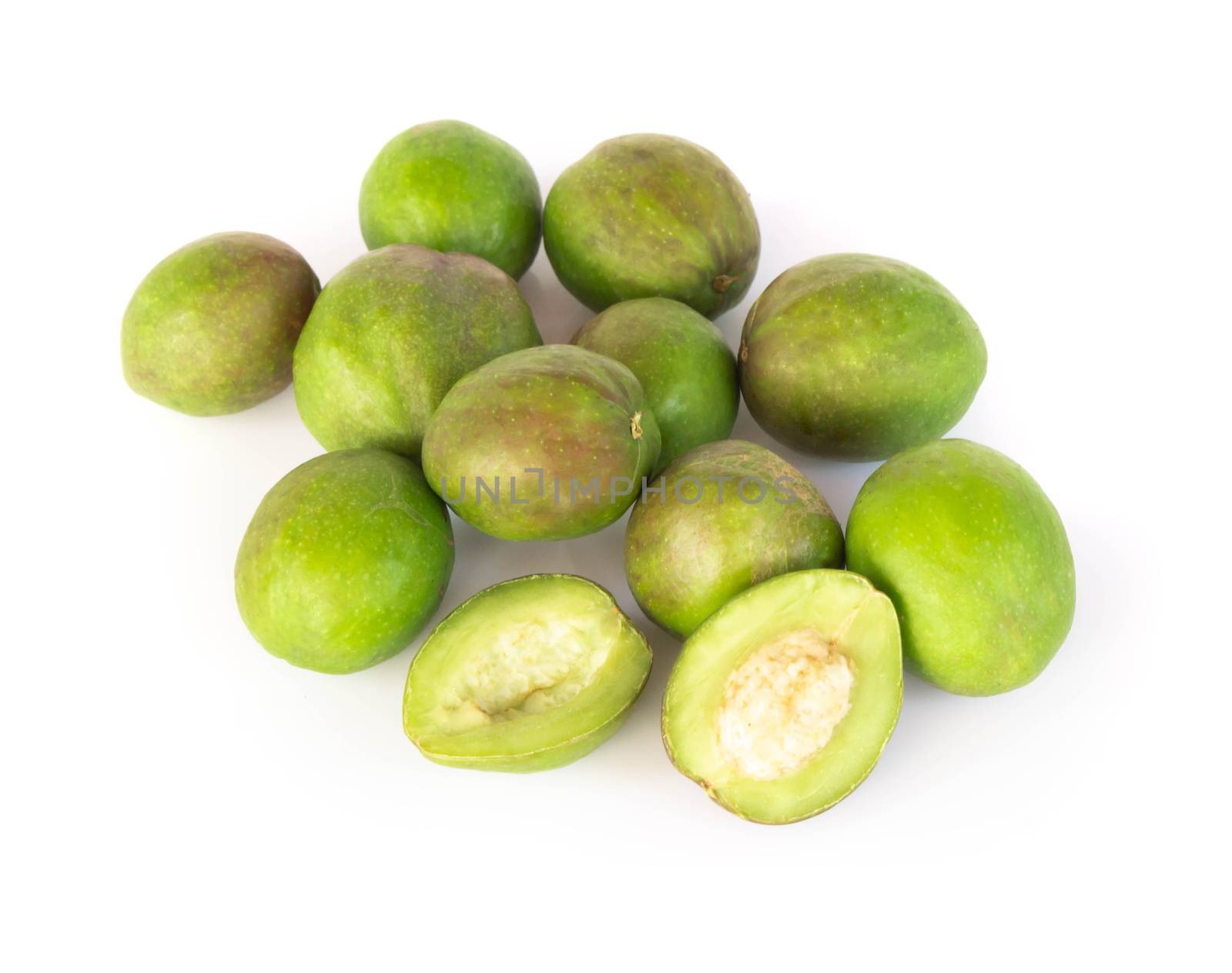 Chebulic Myrobalans isolated on white background, herb and medical