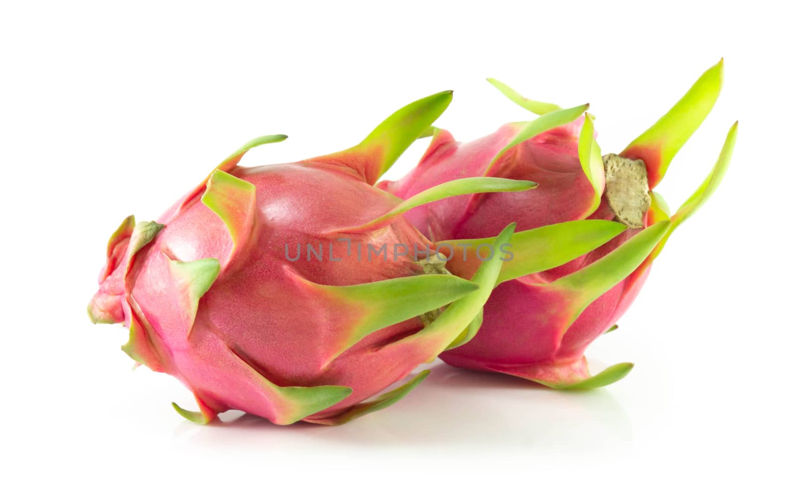 Close up fresh dragon fruit isolated on white background, food healthy