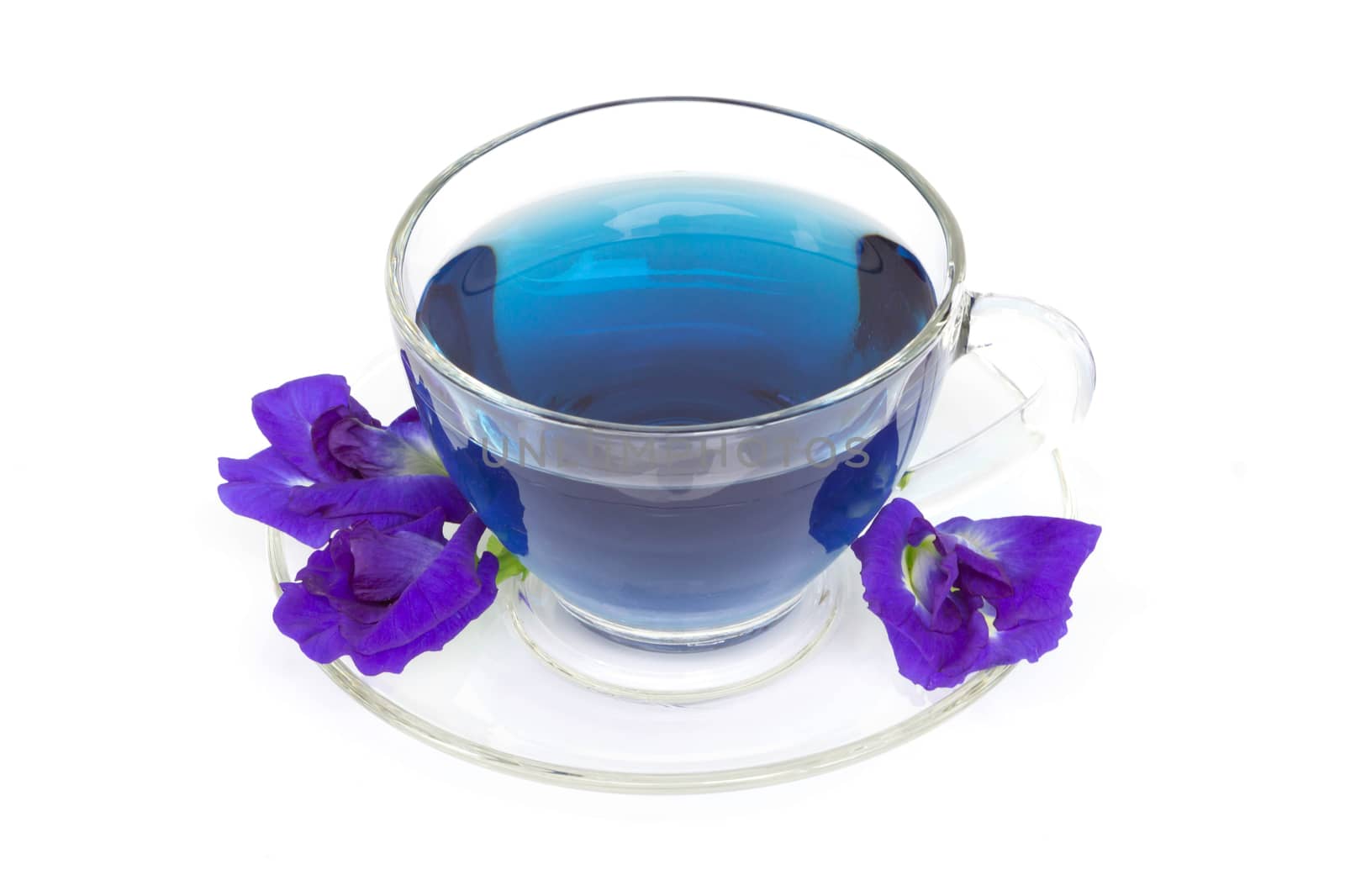Glass of butterfly pea juice on white background, herb and medical concept