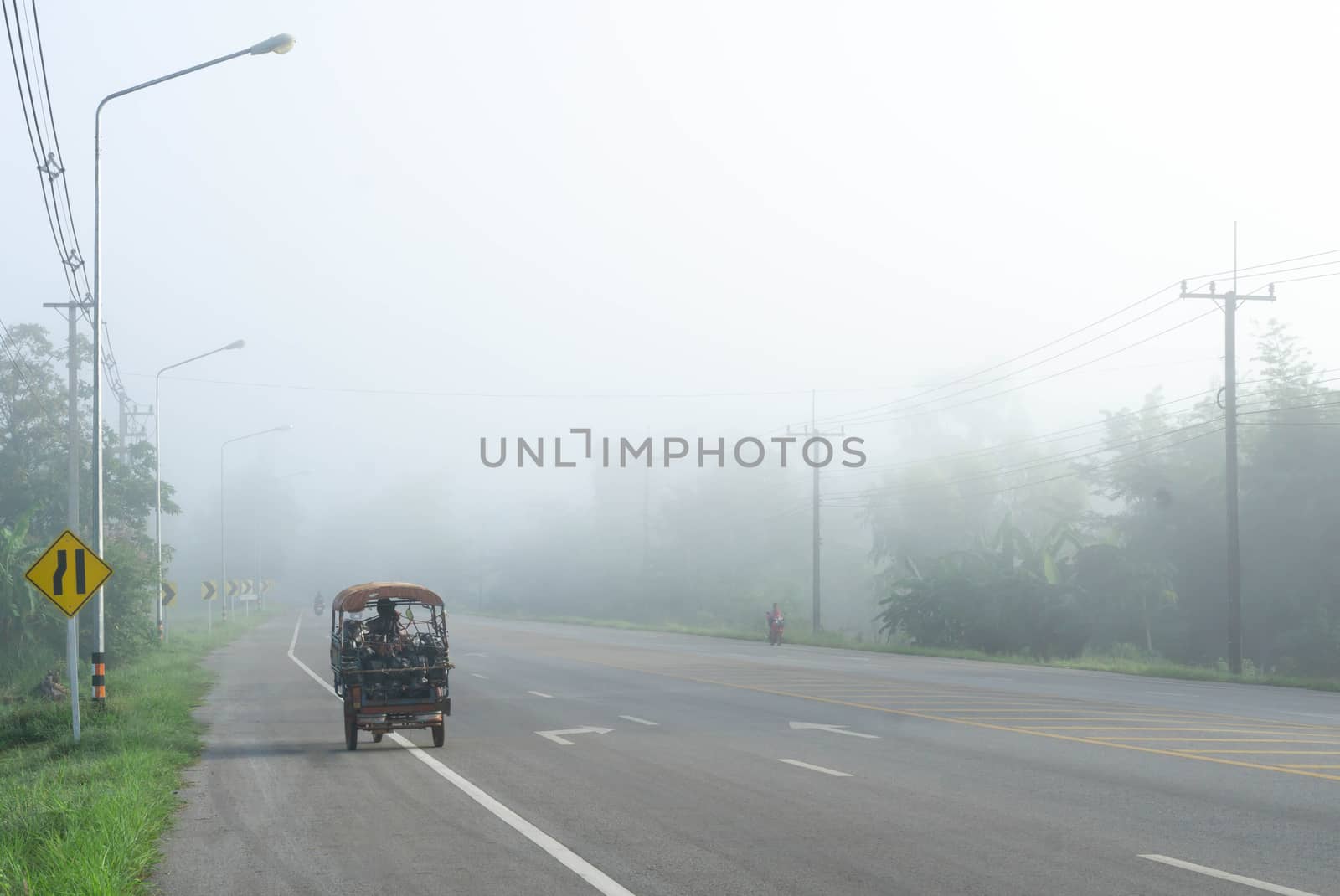 Country road with fog in the morning 