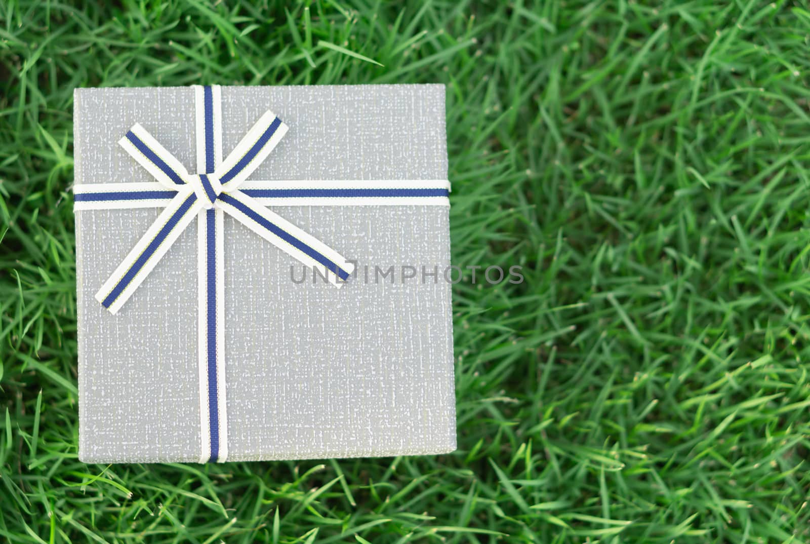 Grey gift box with ribbon on green grass with sun light in the morning, select focus