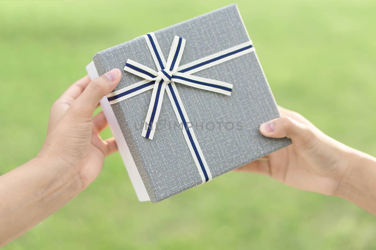 Woman hand holding grey gift box  on green nature background