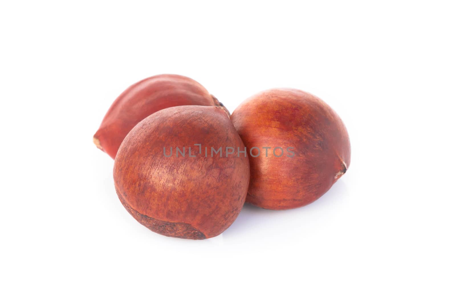 Closeup top view horse chestnuts isolated on white background,  healthy food concept