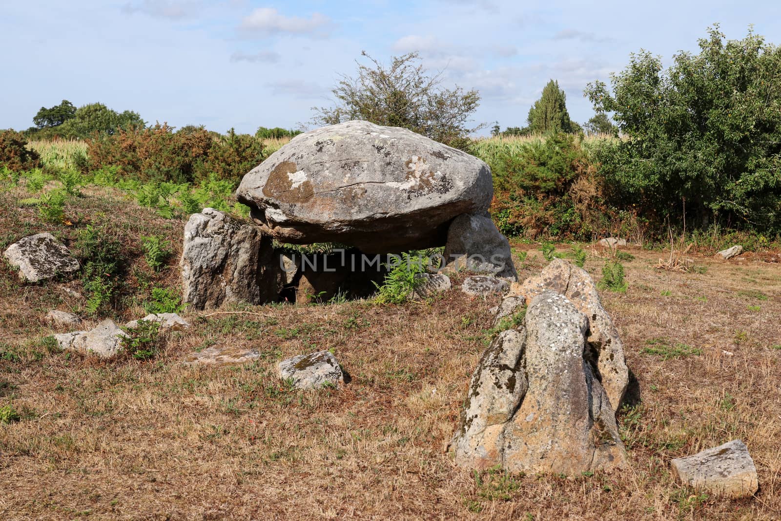 Dolmen Run-er-Sinzen megalithic monument and archaeological site near Erdeven, departement Morbihan, Brittany, France