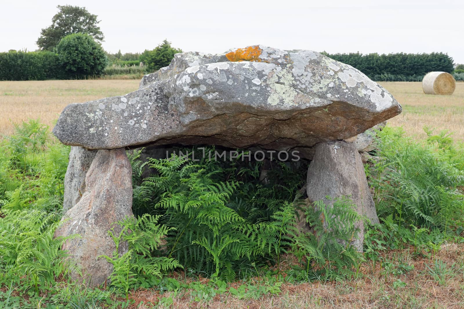 Dolmen of Kerangre - megalithic monument in Erdeven, Britany by Mibuch