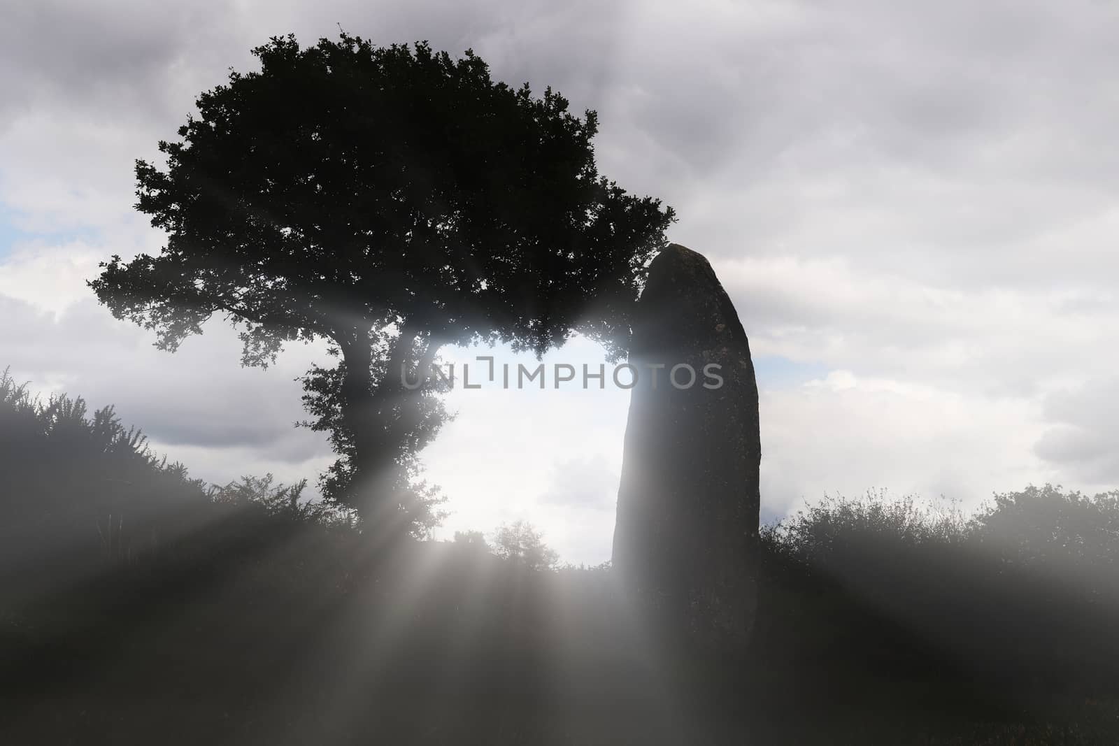 Menhir of Kergornec - megalithic monument in Brittany, France by Mibuch