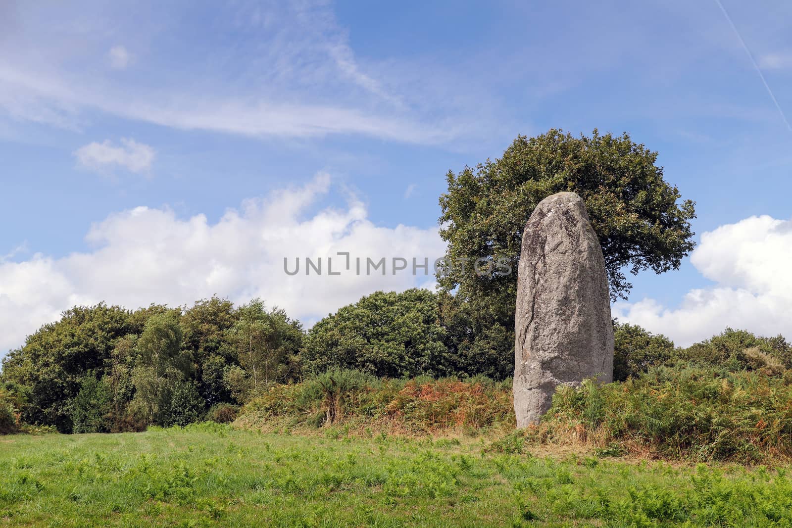 Menhir of Kergornec - megalithic monument in Brittany, France by Mibuch