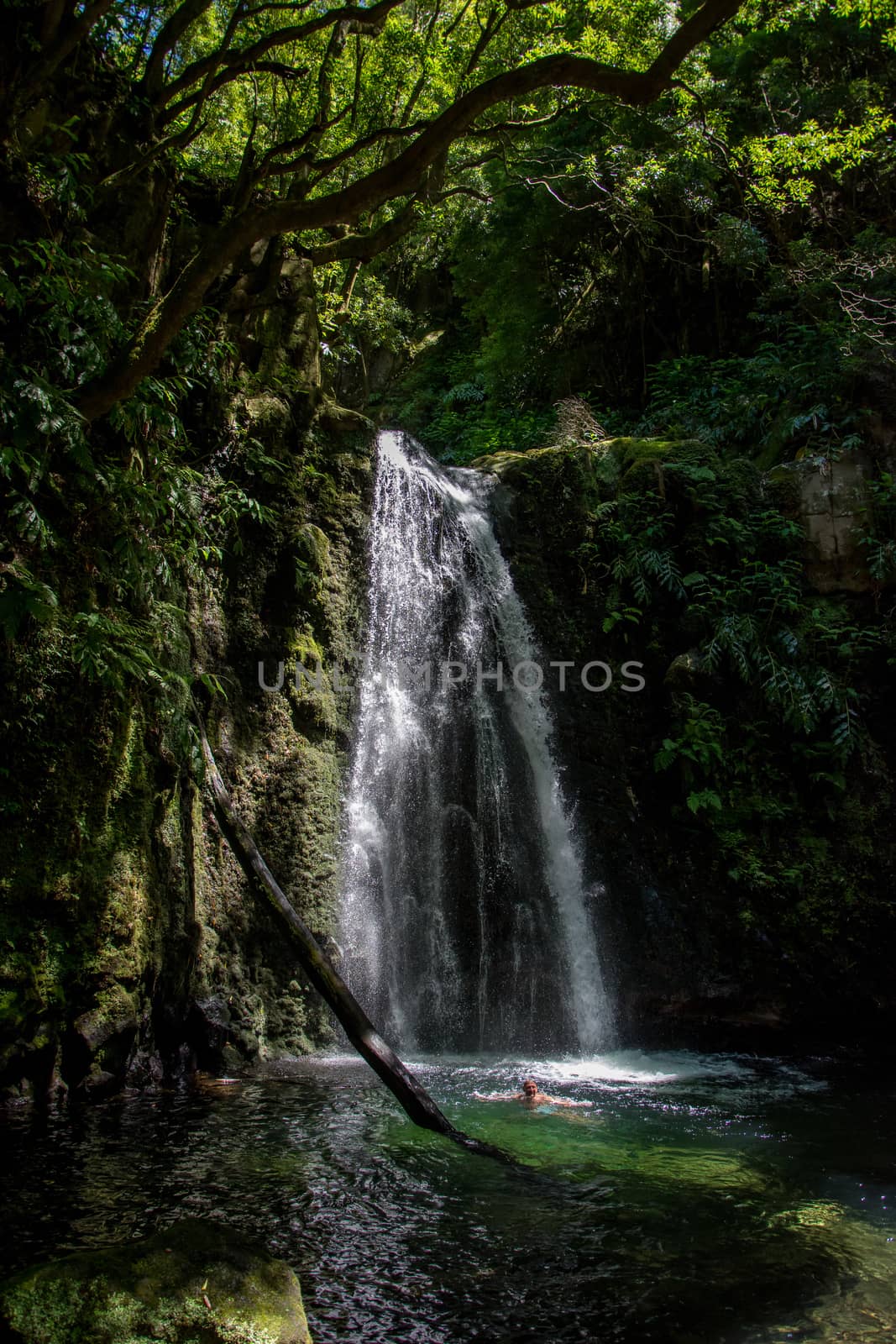 walk and discover the prego salto waterfall on the island of sao miguel, azores, Portugal.