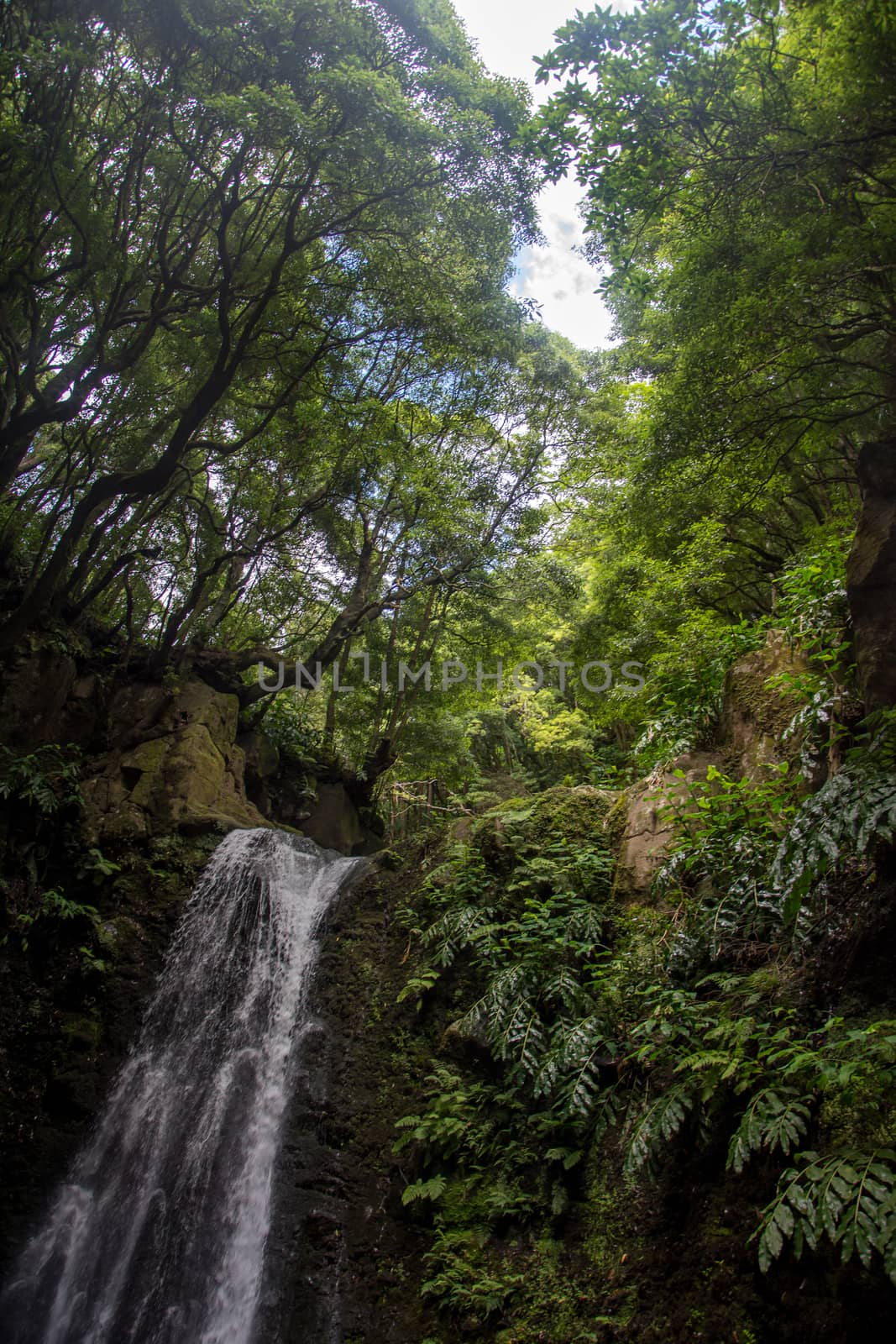 walk and discover the prego salto waterfall on the island of sao miguel, azores, Portugal.