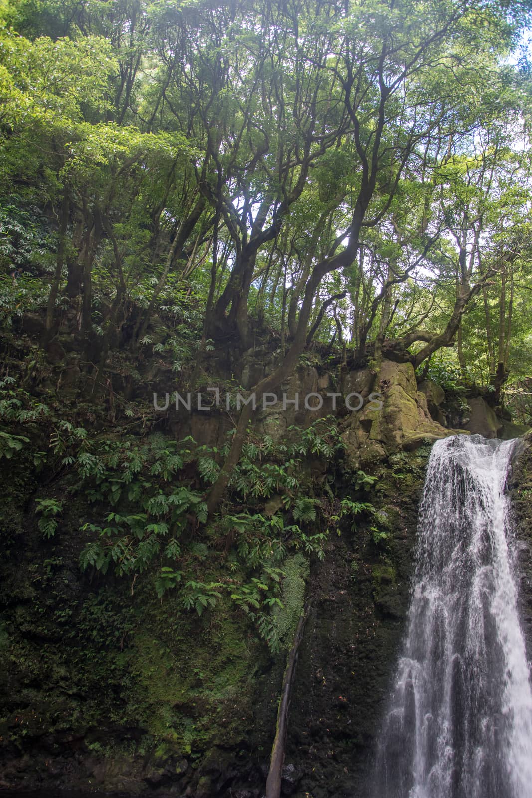 walk and discover the prego salto waterfall on the island of sao miguel, azores, Portugal.