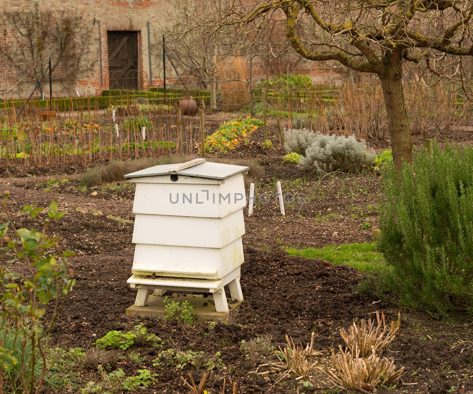 Beehive in Walled Garden by TimAwe