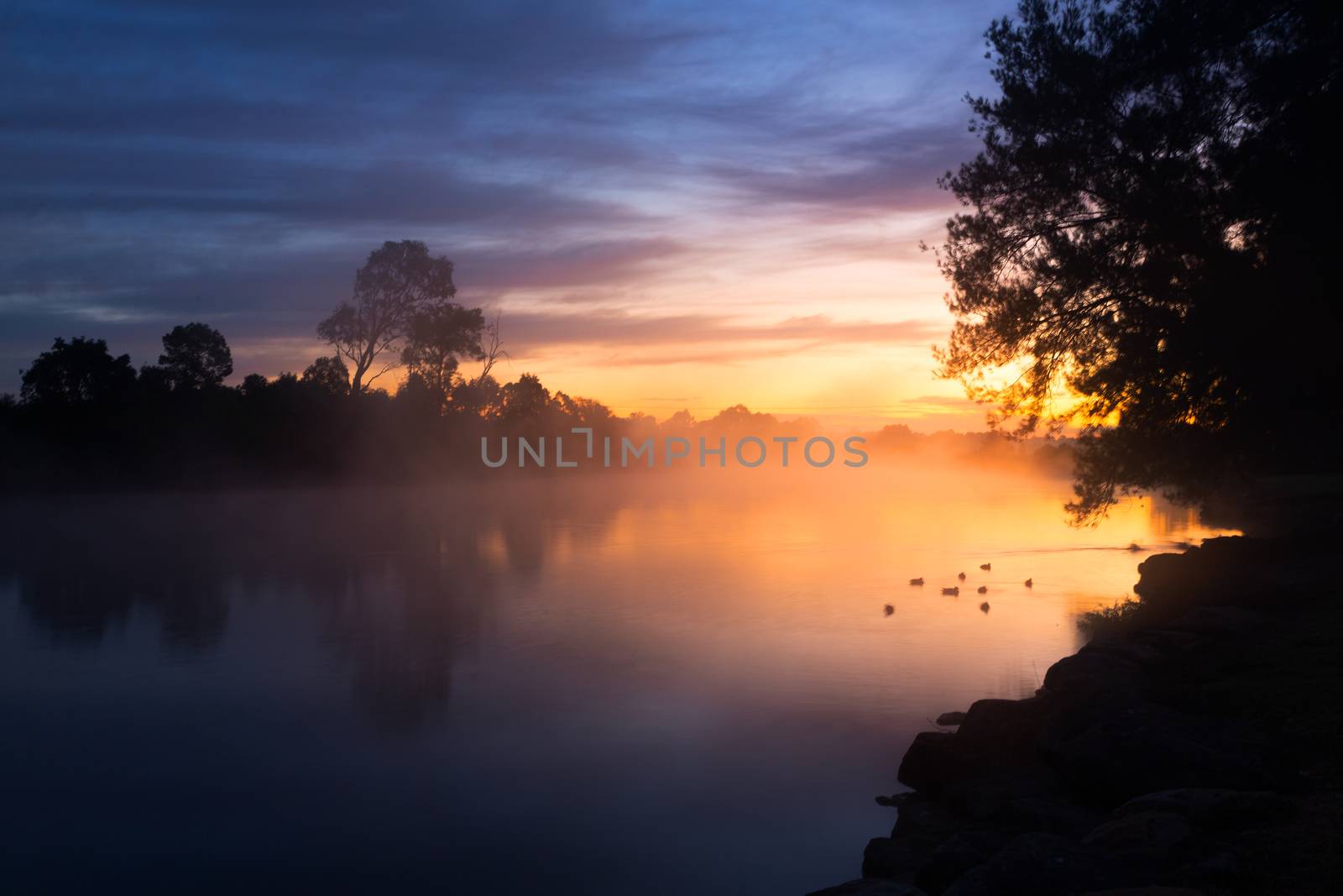 Pretty dawn skies colour the misty fog over the billabong on a chilly morning