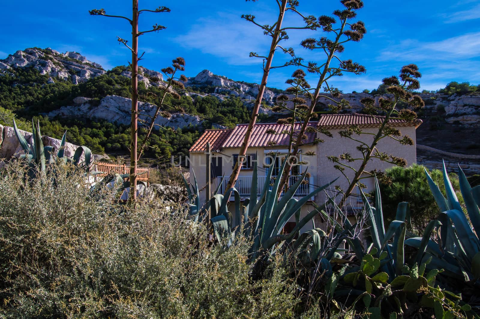 les goudes,marseille,bouche du rhone,france