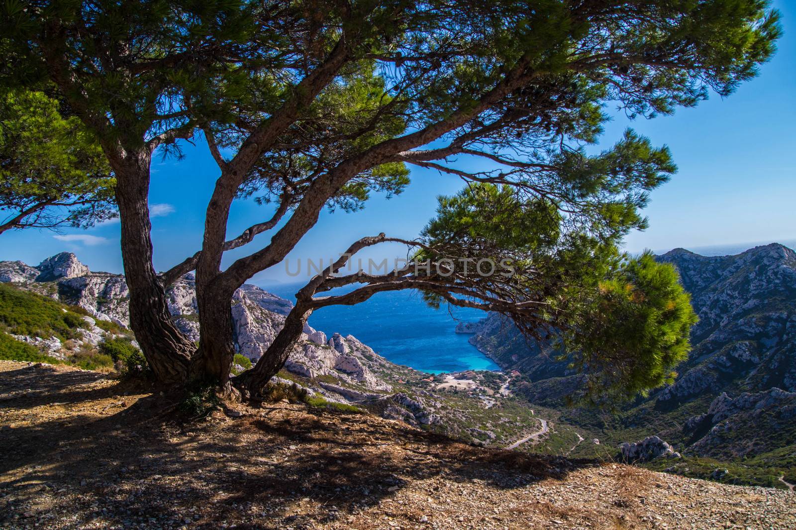 calanque de sormiou,marseille,bouche du rhone,france