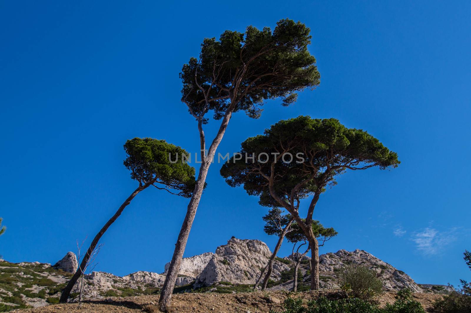 calanque de sormiou,marseille,bouche du rhone,france