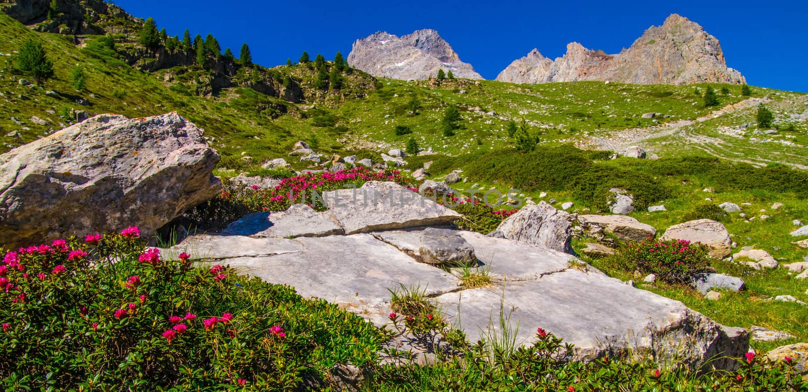 lake sainte anne qeyras in hautes alpes in france by bertrand