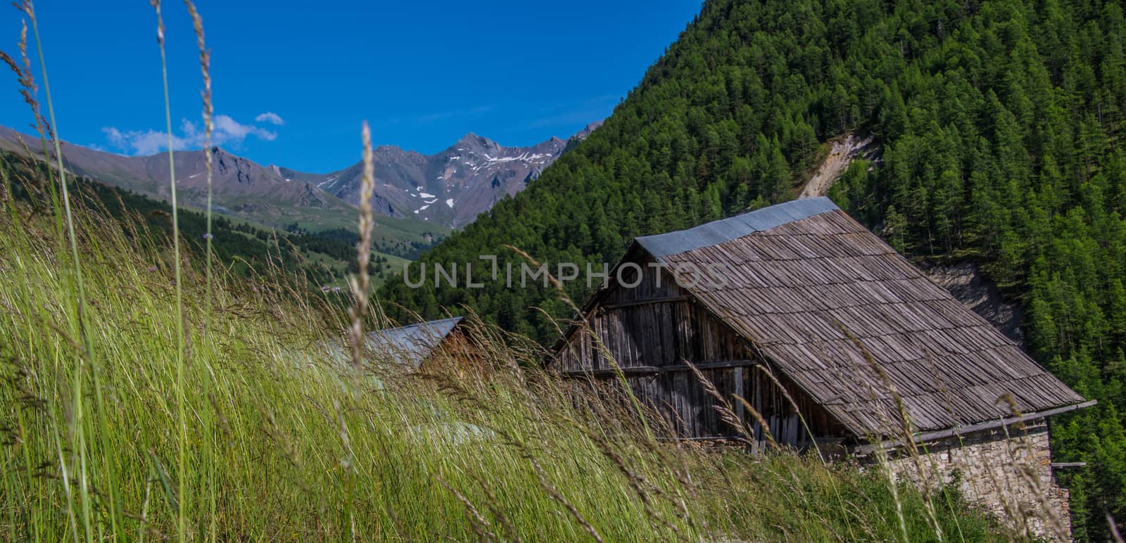 riaille ceillac queyras in hautes alpes in france by bertrand