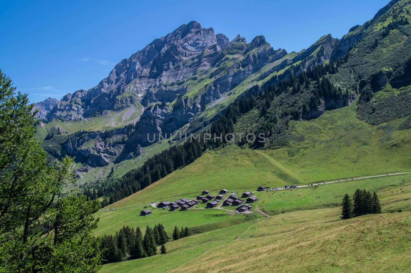 landscape of the Swiss Alps