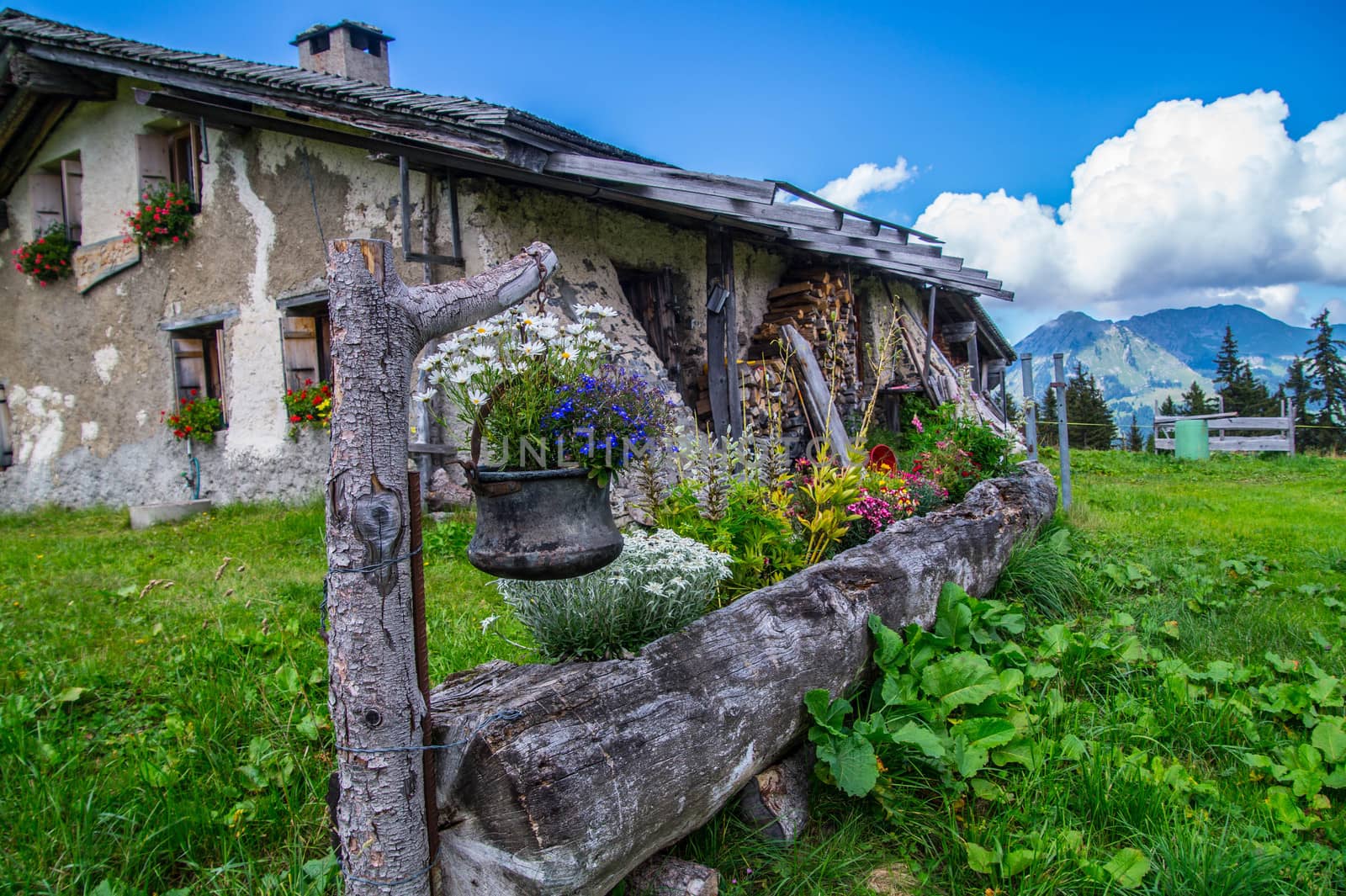 landscape of the Swiss Alps