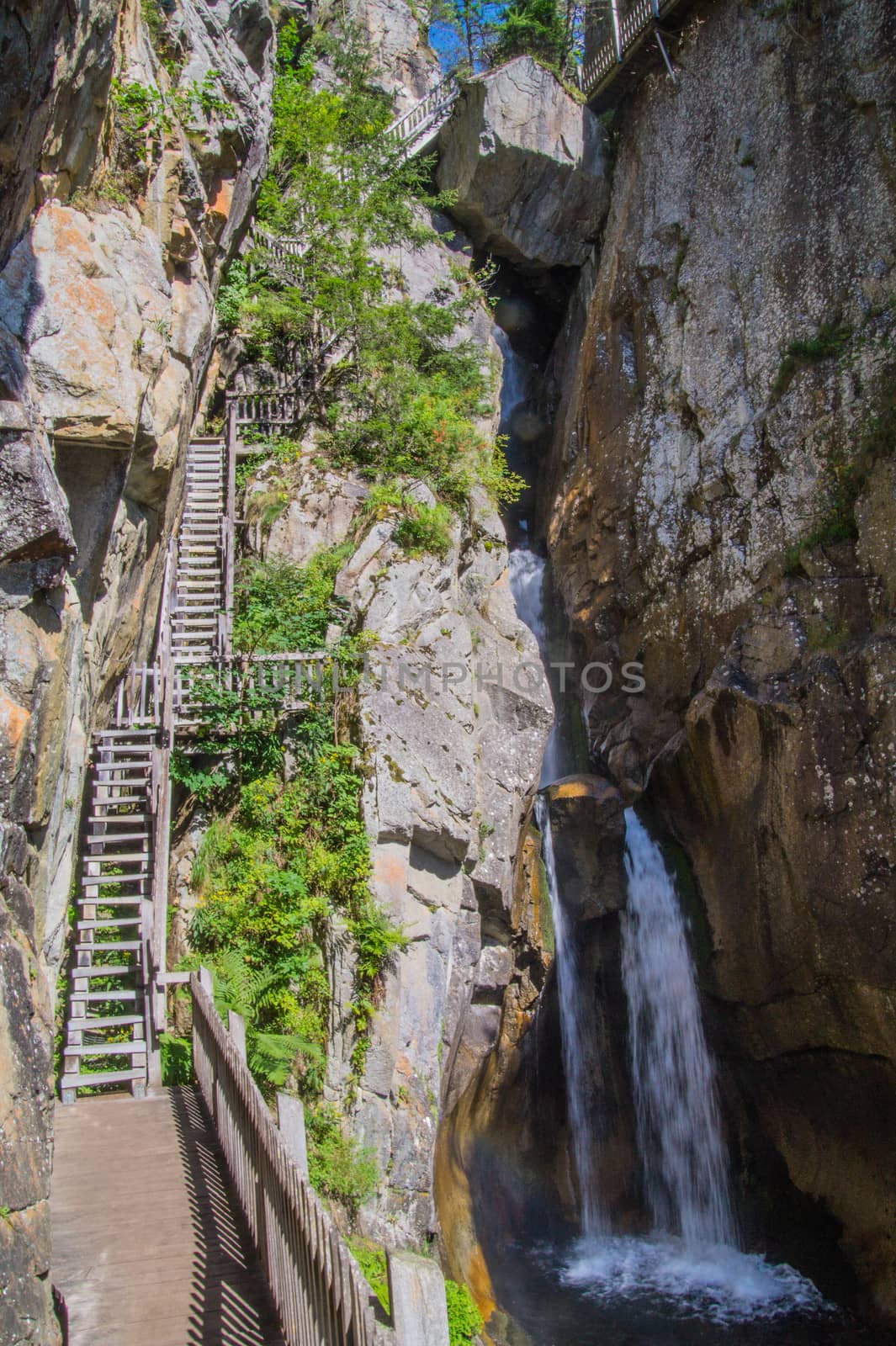 gorge in the Swiss Alps