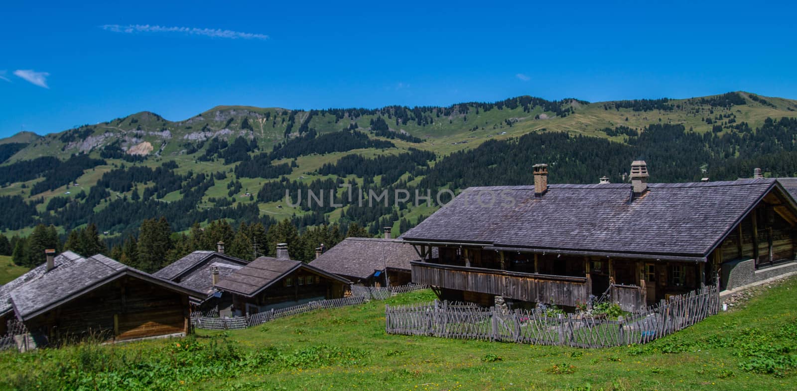 taveyanna in vaud in swiss by bertrand